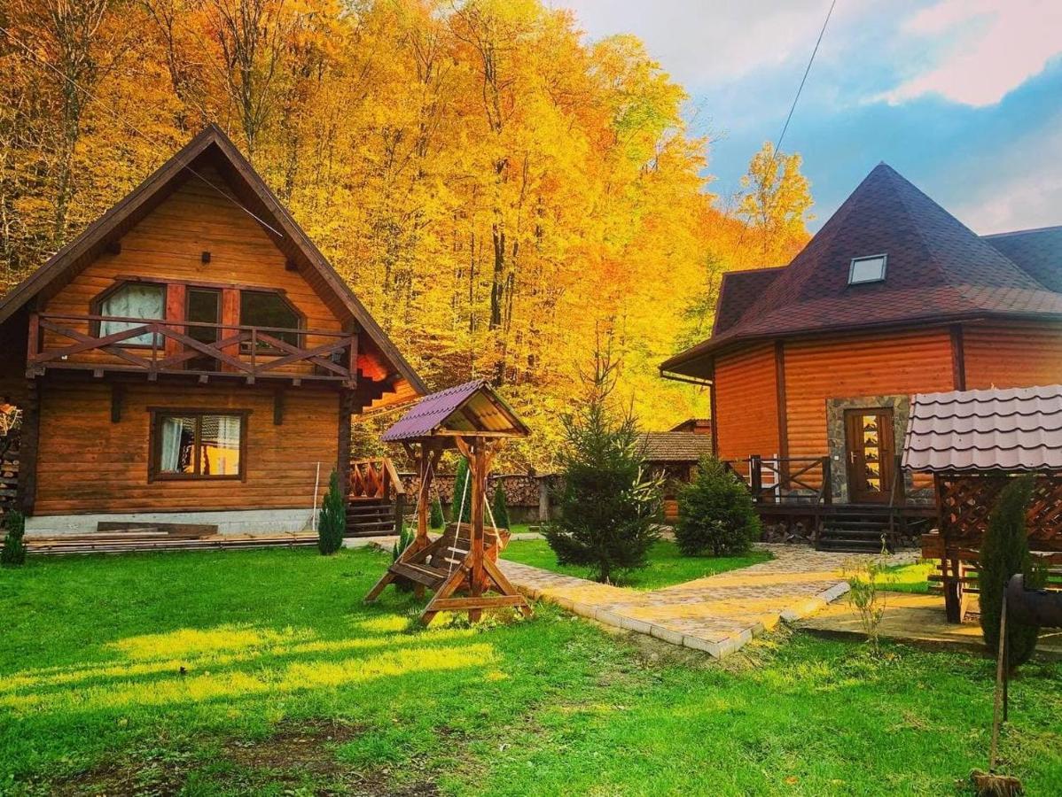 Vedmezhe Polyana (Transcarpathia)