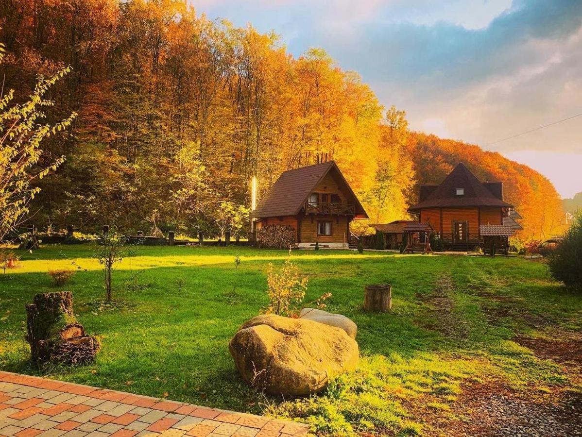 Vedmezhe 4*