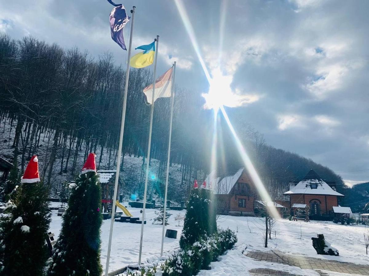 Hotel Vedmezhe 4*