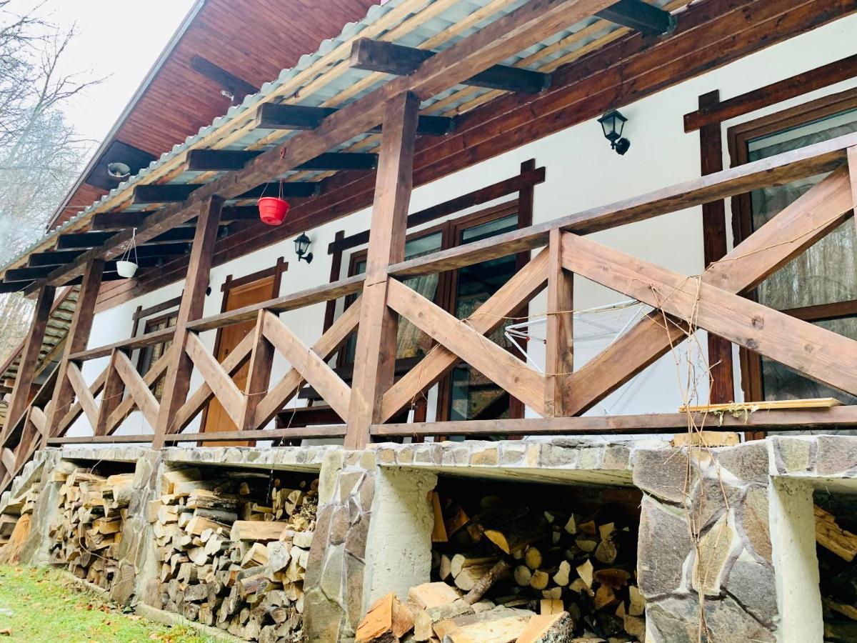 Hotel Vedmezhe 4*