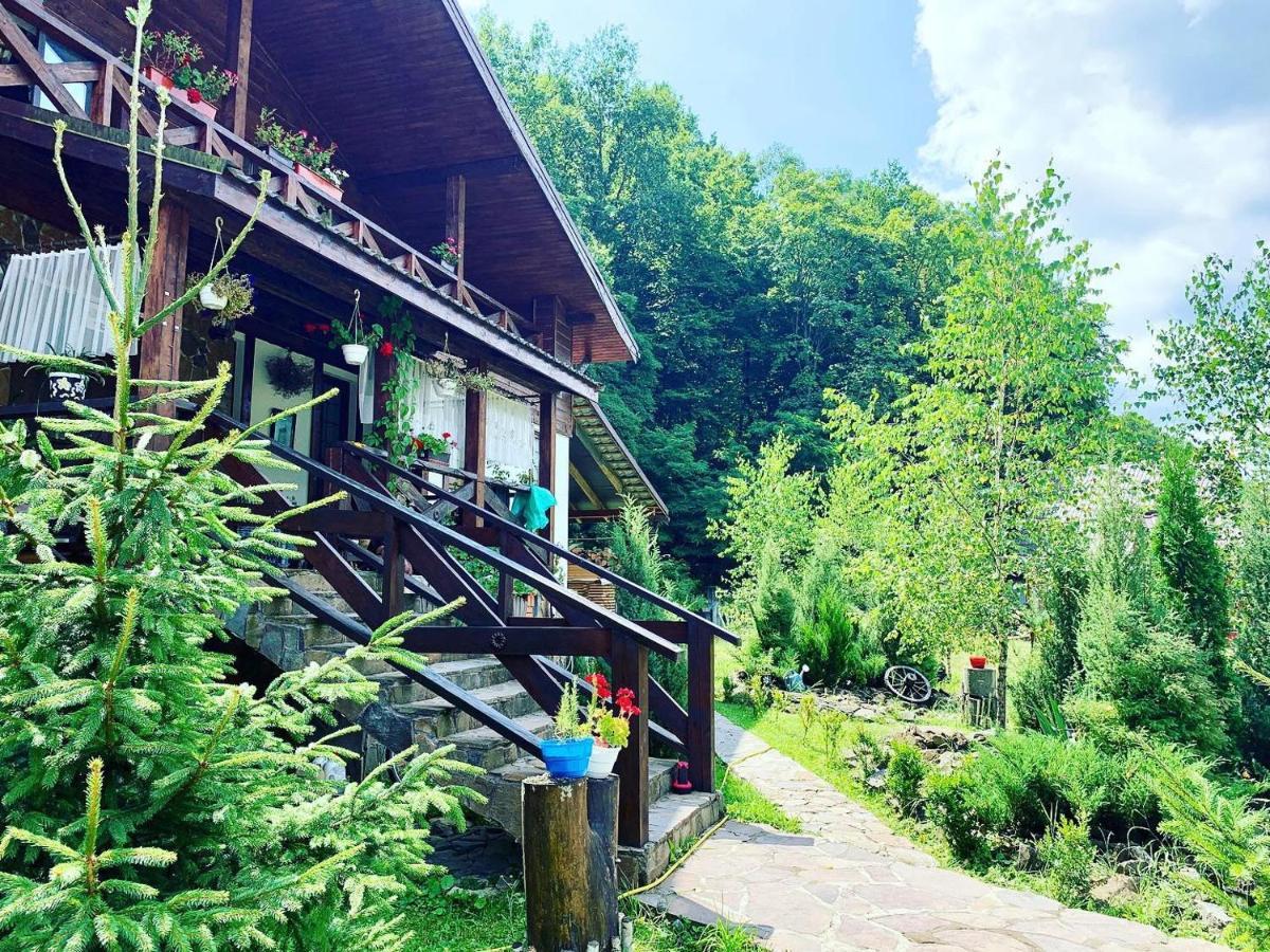 Hotel Vedmezhe 4*