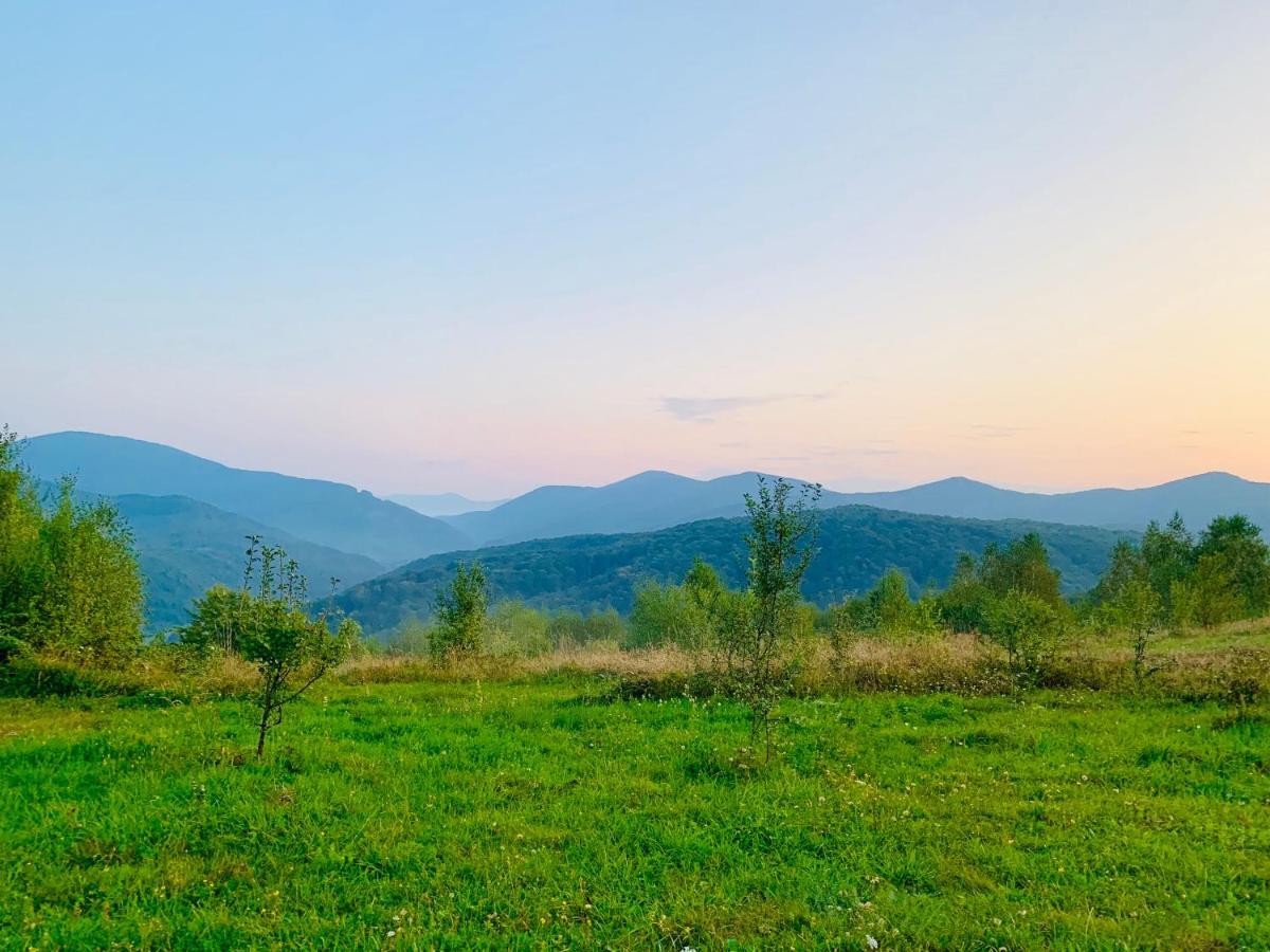 Vedmezhe